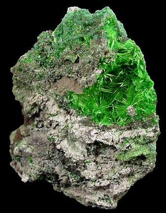 Cuprosklodowskite - (H3O)2Cu(UO2)2(SiO4)2+2H2O from Musonoi Mine, Katanga Province, Democratic Republic of the Congo
