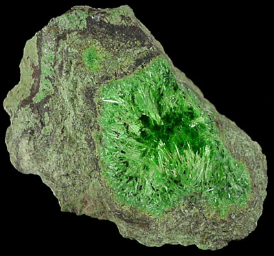 Cuprosklodowskite - (H3O)2Cu(UO2)2(SiO4)2+2H2O from Musonoi Mine, Kolwezi District, Katanga Copperbelt, Lualaba Province, Democratic Republic of the Congo