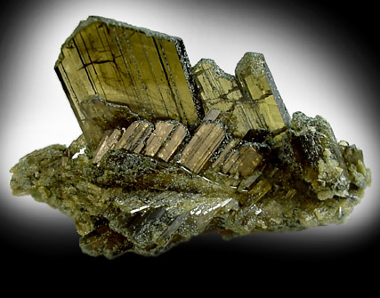 Clinozoisite / Epidote from Kharmony Valley, near Khaplu, west of Skardu, Pakistan