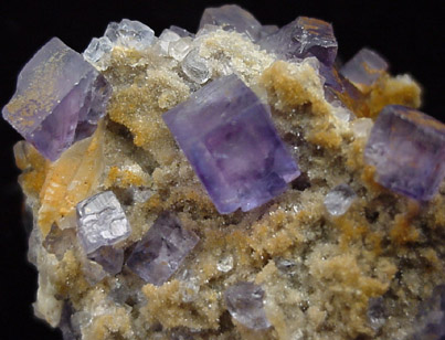 Fluorite and Barite from Blanchard Mine, Hansonburg District, 8.5 km south of Bingham, Socorro County, New Mexico