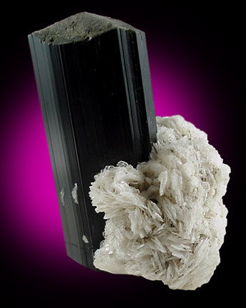 Schorl Tourmaline with Albite from Shengus, Skardu Road, Gilgit, Pakistan