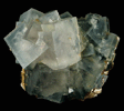 Fluorite from Boulder Hill Fluorite Prospect, near Wellington, Lyon County, Nevada
