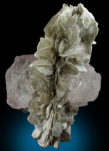 Fluorite on Muscovite from Chumar, Nagar, Pakistan