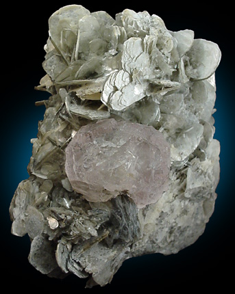 Fluorite on Muscovite from Chumar, Nagar, Pakistan