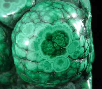 Malachite from Lubumbashi, Katanga Copperbelt, Haut-Katanga Province, Democratic Republic of the Congo