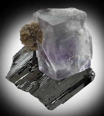 Fluorite with Ferberite from Yaogangxian Mine, Nanling Mountains, Hunan Province, China