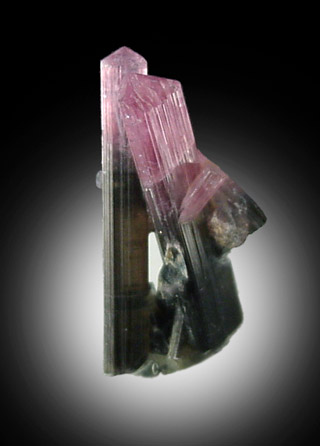 Elbaite Tourmaline from Manapa, Madagascar