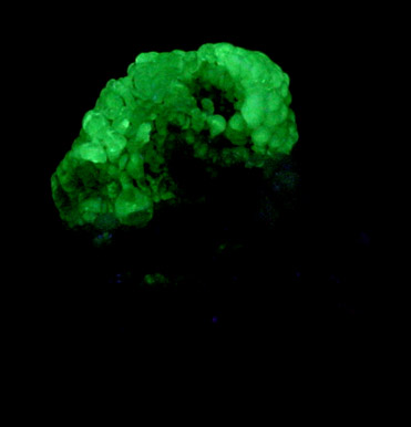 Opal var. Hyalite from Monok, Zemplen Mountains, Borsod-Abaj-Zemplen, Hungary