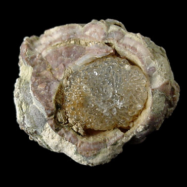 Opal var. Hyalite from Monok, Zemplen Mountains, Borsod-Abaj-Zemplen, Hungary