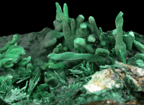 Malachite from Lubumbashi, Katanga Copperbelt, Haut-Katanga Province, Democratic Republic of the Congo