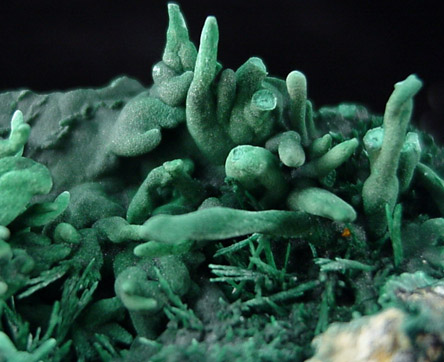 Malachite from Lubumbashi, Katanga Copperbelt, Haut-Katanga Province, Democratic Republic of the Congo