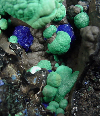 Azurite and Malachite from Morenci Mine, Clifton District, Greenlee County, Arizona