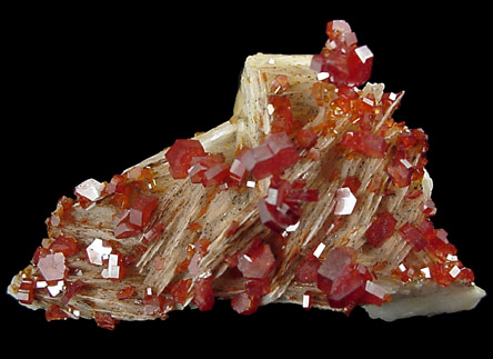 Vanadinite on Barite from Mibladen, Morocco