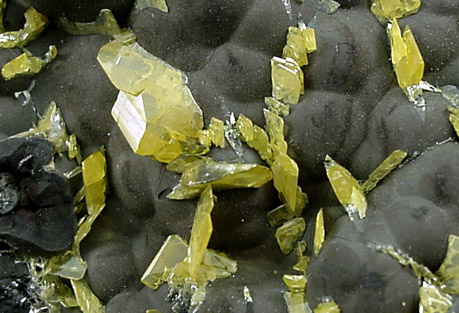 Wulfenite on Psilomelane from Glove Mine, Santa Cruz County, Arizona