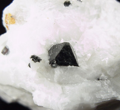 Spinel from Lime Crest Quarry (Limecrest), Sussex Mills, 4.5 km northwest of Sparta, Sussex County, New Jersey