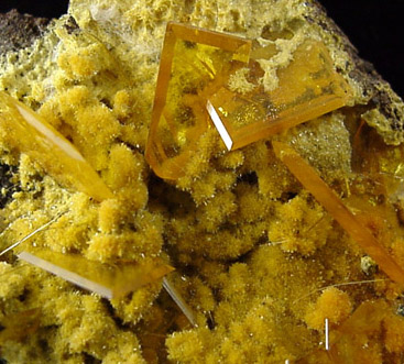 Wulfenite on Mimetite from San Francisco Mine, (Cerro Prieto Mine), Magdalena, Sonora, Mexico