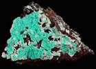 Chrysocolla on Limonite from Mina Ojuela, Mapimi, Durango, Mexico