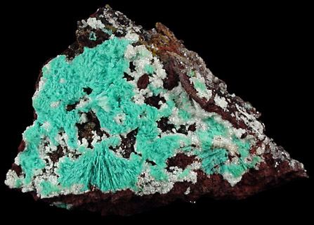 Chrysocolla on Limonite from Mina Ojuela, Mapimi, Durango, Mexico