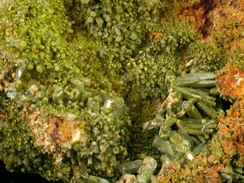 Pyromorphite from 1700' level, Sherman Mine, Burke, 74 km ESE of Coeur d'Alene, Shoshone County, Idaho