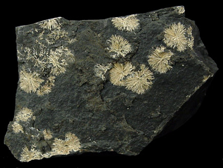 Ferristrunzite from Blaton, Henegouwen, Belgium (Type Locality for Ferristrunzite)