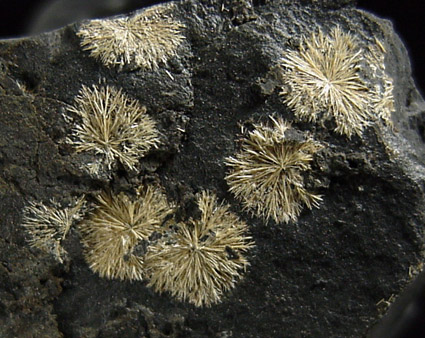 Ferristrunzite from Blaton, Henegouwen, Belgium (Type Locality for Ferristrunzite)