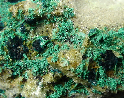 Spangolite and Brochantite from Mex-Tex Mine, Hansonburg District, 8.5 km south of Bingham, Socorro County, New Mexico