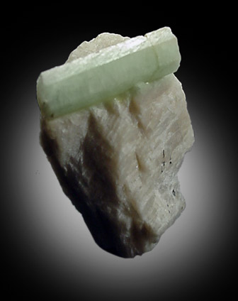Beryl in Albite from Bumpus Quarry, Albany, Oxford County, Maine