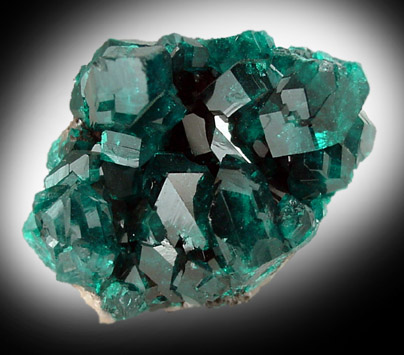 Dioptase from Tsumeb Mine, Otavi-Bergland District, Oshikoto, Namibia