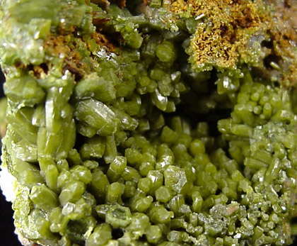 Pyromorphite from attributed to: Leadhills-Wanlockhead District, Scotland