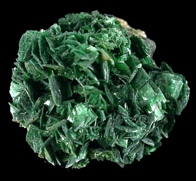 Torbernite from Shinkolobwe Mine, 22 km WSW of Likasi, Katanga Copperbelt, Haut-Katanga Province, Democratic Republic of the Congo