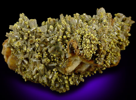 Pyromorphite on Barite from Mine des Farges, Ussel, Corrèze, France