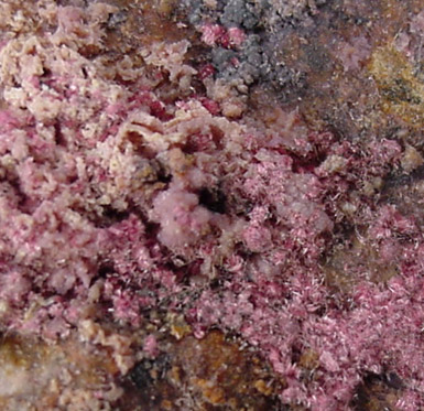 Erythrite with Cobaltite from Mina Sara Alicia, San Bernardo, Sonora, Mexico