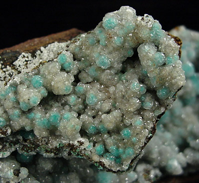 Rosasite in Calcite from Omega Mine, Pima County, Arizona