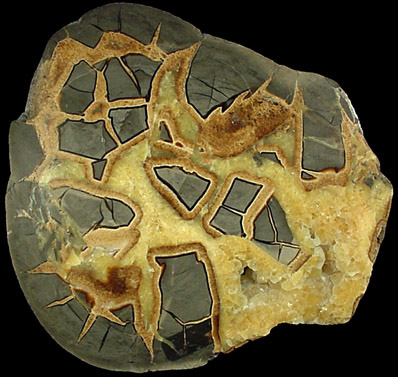 Calcite Septarian from Orderville, Kane County, Utah