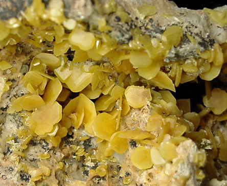 Wulfenite from Touissit Mine, 21 km SSE of Oujda, Jerada Province, Oriental, Morocco