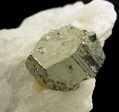 Pyrite from NE Mine Co. Quarry, Adams, Berkshire County, Massachusetts