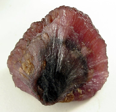 Elbaite Tourmaline from Momeik, northeast of Mogok, Mandalay Division, Myanmar (Burma)