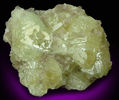 Datolite from Dalnegorsk, Primorskiy Kray, Russia