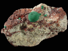 Malachite from NW Extension, Phelps Dodge Morenci Mine, Morenci, Greelee County, Arizona