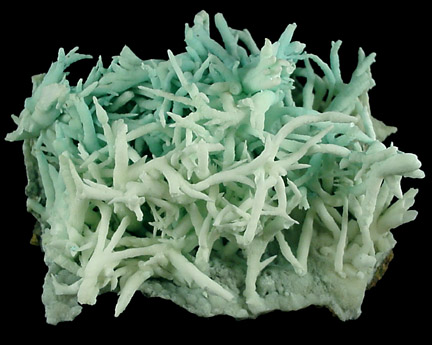 Aragonite var. Flos Ferri from Sounion, Laurium, Greece