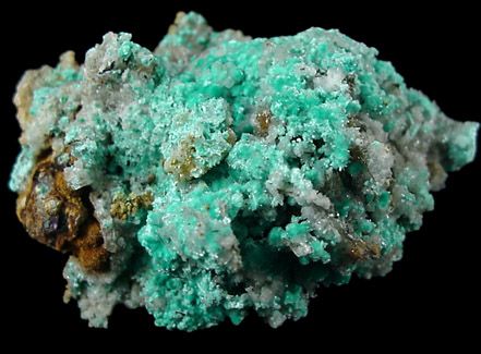 Aurichalcite from Blanchard Mine, Hansonburg District, 8.5 km south of Bingham, Socorro County, New Mexico