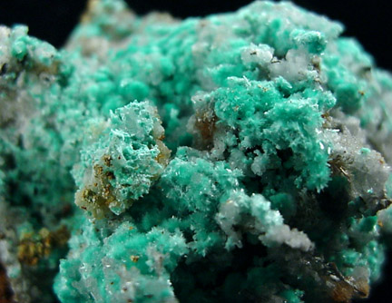 Aurichalcite from Blanchard Mine, Hansonburg District, 8.5 km south of Bingham, Socorro County, New Mexico