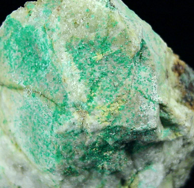 Tsumebite from Upper Mex-Tex Mine, Hansonburg District, 8.5 km south of Bingham, Socorro County, New Mexico
