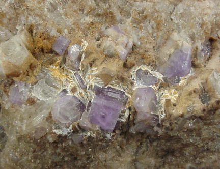 Fluorapatite and Quartz from Ehrenfriedersdorf, Saxony, Germany