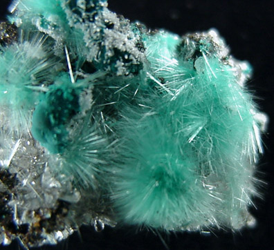 Aurichalcite from 79 Mine, Banner District, near Hayden, Gila County, Arizona