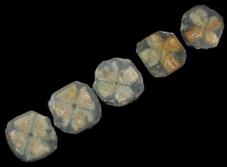 Andalusite var. Chiastolite from Lancaster, Worcester County, Massachusetts