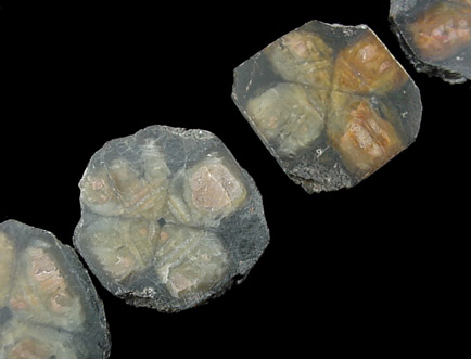 Andalusite var. Chiastolite from Lancaster, Worcester County, Massachusetts