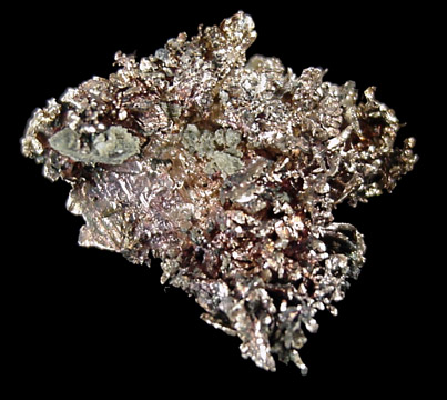 Silver (arborescent crystals) from Andres del Rio District, Batopilas, Chihuahua, Mexico