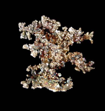 Silver (arborescent crystals) from Andres del Rio District, Batopilas, Chihuahua, Mexico