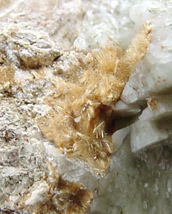 Raite, Lomonosovite, Natrolite, Microcline from Lovozero Massif, Kola Peninsula, Murmanskaja Oblast', Northern Region, Russia (Type Locality for Raite)